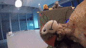 Amazon Thanksgiving GIF by Woot!