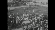 5Cudett0 GIF by Cagliari Calcio