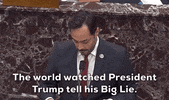 Joaquin Castro Impeachment GIF by GIPHY News