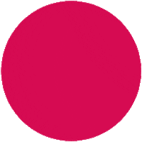 Animal Rights Sticker by Animal Rights Switzerland