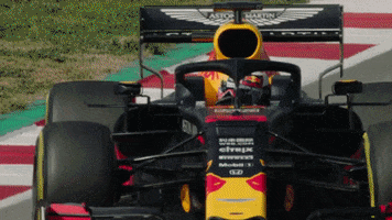 redbullracing car racing race 2019 GIF