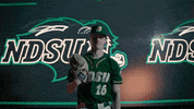 Nolan Johnson GIF by NDSU Athletics