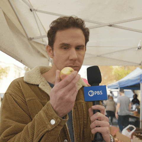 Education Voting GIF by PBS