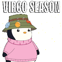 Stars Sign Sticker by Pudgy Penguins