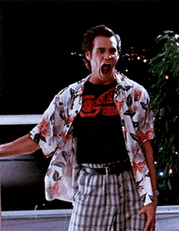 Jim Carrey Money GIF by Dash Digital Cash