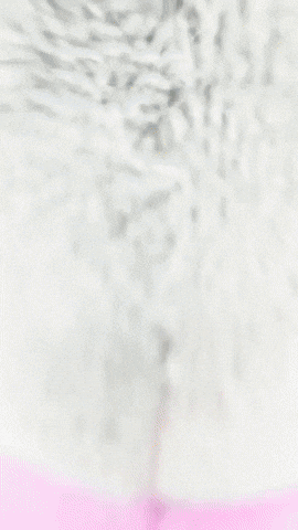 Spongebob Pearl GIF by Youtooz