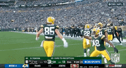 Green Bay Packers Football GIF by NFL