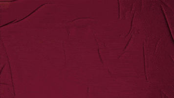 College Baseball GIF by Pearl River Athletics