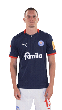 Bescheuert Stirn Sticker by Holstein Kiel