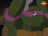Tmnt GIF by Teenage Mutant Ninja Turtles