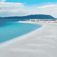 Travel Swimming GIF by TRT