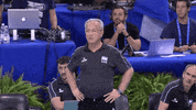 La Albiceleste Yes GIF by Volleyball World