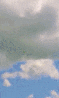 David Choe Art GIF
