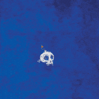 niftyjutsu blue skull bomb bleu GIF