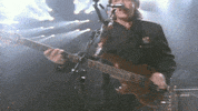 performing flowers in the dirt GIF by Paul McCartney