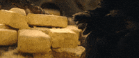 Cynthia Erivo Road GIF by Pretty Dudes