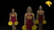 Dazzlers GIF by CUCougars