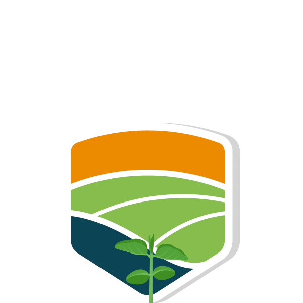 seedcorp giphyupload agro agricultura soja Sticker