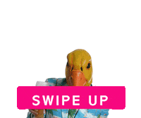 ingo-ohne-flamingo swipe up swipe hochwischen saufen Sticker