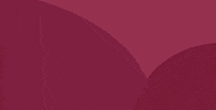 nouveaucinema happy movie film festival GIF