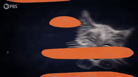 GIF by PBS Digital Studios