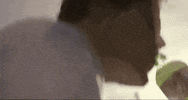 jeff rosenstock blast damage days GIF by SideOneDummy Records