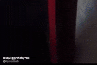 Rock Hyrax Hello GIF