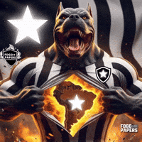 Libertadores Bfr GIF