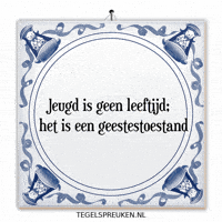 Nl Wijsheid GIF by Tegelspreuken.nl
