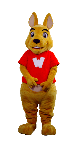 WalibiRA look swipe point click Sticker