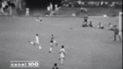 gol GIF by SE Palmeiras