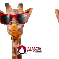 Glue Sticker by Almata Química