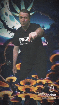 Magical Forest Dj GIF