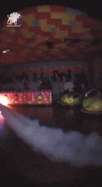 Bumper Cars GIF