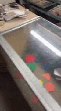 Store Shape GIF
