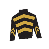 Horse Racing Sticker by Kentucky Derby