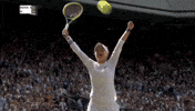 Grand Slam Sport GIF by Wimbledon
