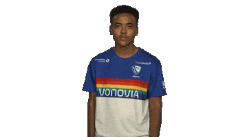 Peace Fifa Sticker by Bundesliga