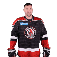 tiposshl sport hockey hokej shl Sticker