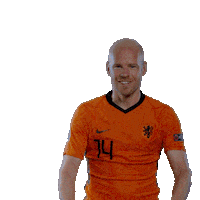 Nederlands Elftal Euro2020 Sticker by OnsOranje