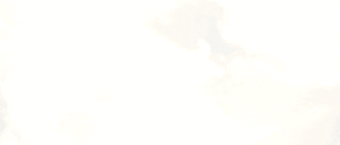 Punk Rock Summer GIF by JunkBunny