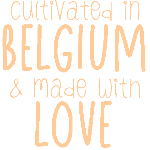 boeketdefleurs giphyupload local bouquet brussels Sticker