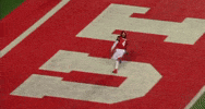 Utah Utes Football GIF