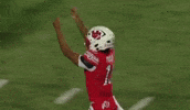 Utah Utes GIF