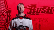 Be Quiet South Dakota GIF by Rapid City Rush