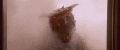 GIF by Ghostbusters 