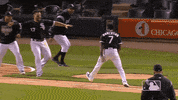 major league baseball sport GIF by MLB