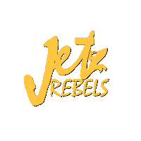 Jetski Aquabike Sticker by JetRebels