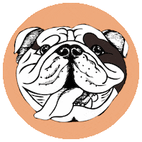 happy dog Sticker by BTE
