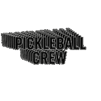 Pickleball Sticker